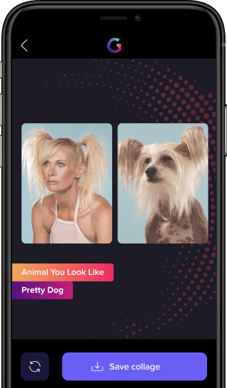 Animal You Look Like